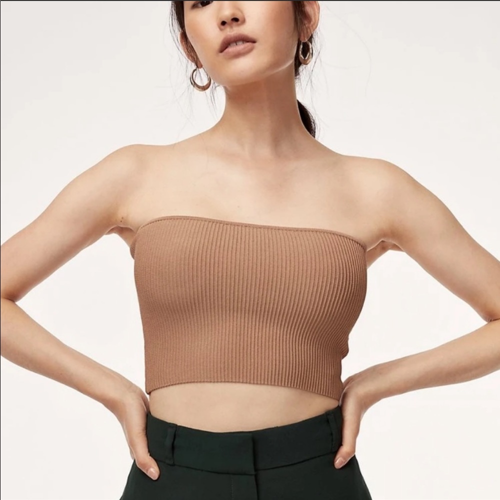 ARITZIA Babaton - Tan Essamba Tube Top - Like new!